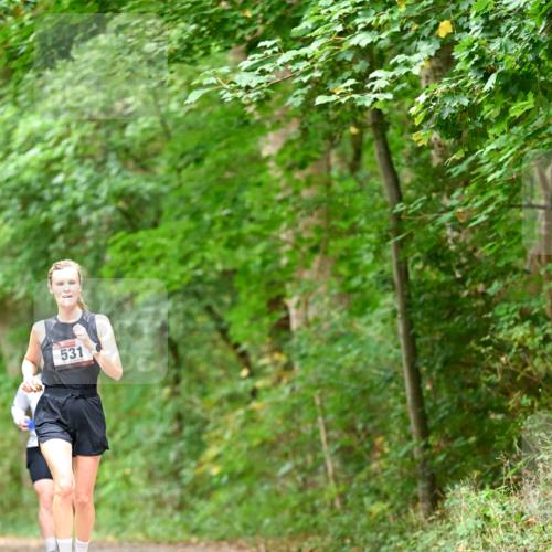 11.10.2026 - Bramfelder Halbmarathon 2026 Dr. Thomas Lammeyer http://msf.ph/oto/10826537 11.10.2026 10:57:16 Laufen 531 meine-sportfotos.de