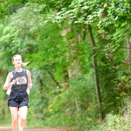11.10.2026 - Bramfelder Halbmarathon 2026 Dr. Thomas Lammeyer http://msf.ph/oto/10826544 11.10.2026 10:57:17 Laufen 531 meine-sportfotos.de