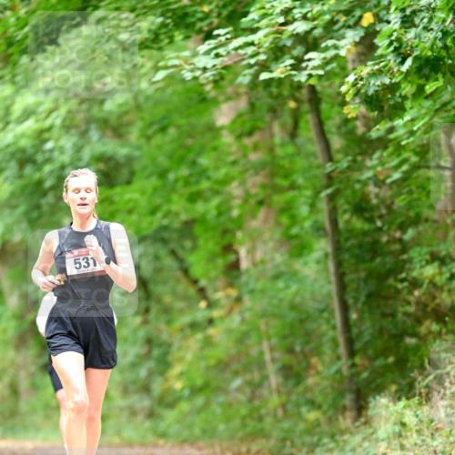 11.10.2026 - Bramfelder Halbmarathon 2026 Dr. Thomas Lammeyer http://msf.ph/oto/10826547 11.10.2026 10:57:17 Laufen 531 meine-sportfotos.de