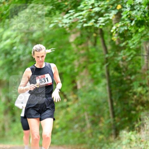 11.10.2026 - Bramfelder Halbmarathon 2026 Dr. Thomas Lammeyer http://msf.ph/oto/10826554 11.10.2026 10:57:18 Laufen 531 meine-sportfotos.de