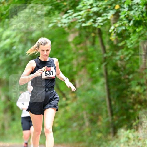 11.10.2026 - Bramfelder Halbmarathon 2026 Dr. Thomas Lammeyer http://msf.ph/oto/10826555 11.10.2026 10:57:18 Laufen 531 meine-sportfotos.de