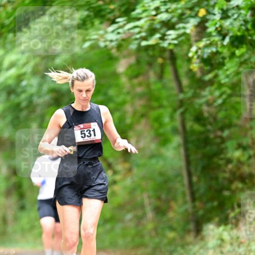 11.10.2026 - Bramfelder Halbmarathon 2026 Dr. Thomas Lammeyer http://msf.ph/oto/10826556 11.10.2026 10:57:18 Laufen 531 meine-sportfotos.de
