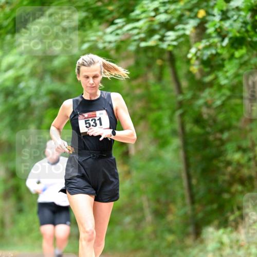 11.10.2026 - Bramfelder Halbmarathon 2026 Dr. Thomas Lammeyer http://msf.ph/oto/10826558 11.10.2026 10:57:18 Laufen 289, 531 meine-sportfotos.de