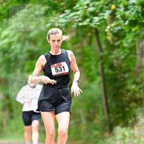 11.10.2026 - Bramfelder Halbmarathon 2026 Dr. Thomas Lammeyer http://msf.ph/oto/10826559 11.10.2026 10:57:19 Laufen 531 meine-sportfotos.de