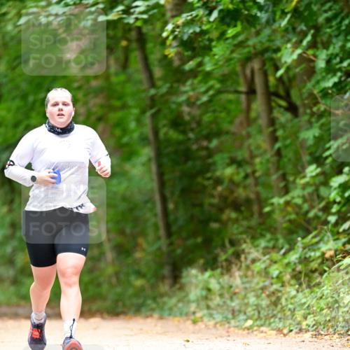 11.10.2026 - Bramfelder Halbmarathon 2026 Dr. Thomas Lammeyer http://msf.ph/oto/10826564 11.10.2026 10:57:21 Laufen  meine-sportfotos.de