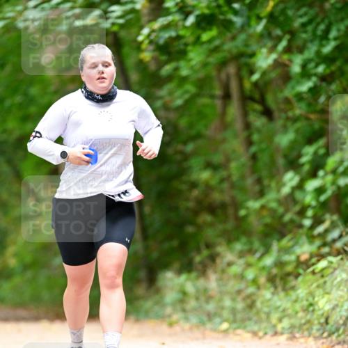 11.10.2026 - Bramfelder Halbmarathon 2026 Dr. Thomas Lammeyer http://msf.ph/oto/10826571 11.10.2026 10:57:23 Laufen  meine-sportfotos.de