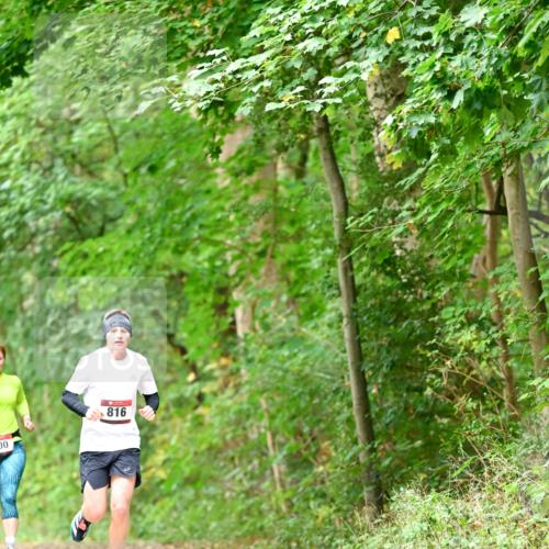 11.10.2026 - Bramfelder Halbmarathon 2026 Dr. Thomas Lammeyer http://msf.ph/oto/10826611 11.10.2026 10:57:48 Laufen 816, 00 meine-sportfotos.de
