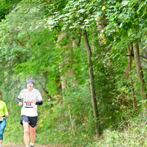 11.10.2026 - Bramfelder Halbmarathon 2026 Dr. Thomas Lammeyer http://msf.ph/oto/10826612 11.10.2026 10:57:48 Laufen 0, 816 meine-sportfotos.de