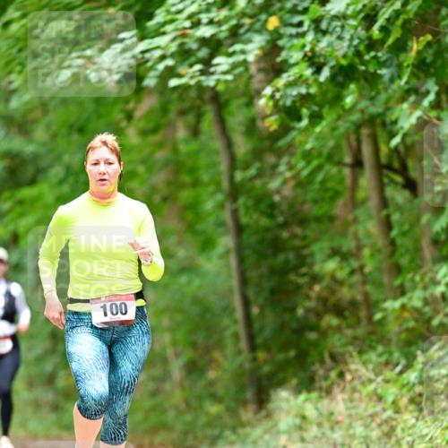 11.10.2026 - Bramfelder Halbmarathon 2026 Dr. Thomas Lammeyer http://msf.ph/oto/10826645 11.10.2026 10:57:54 Laufen 100 meine-sportfotos.de