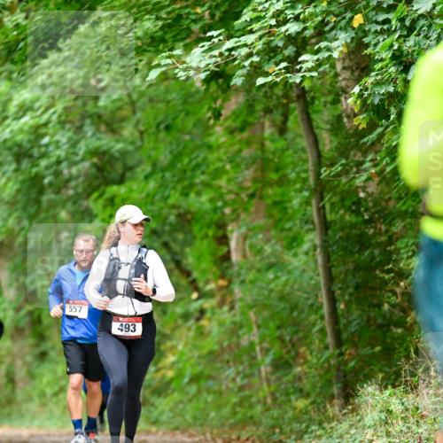 11.10.2026 - Bramfelder Halbmarathon 2026 Dr. Thomas Lammeyer http://msf.ph/oto/10826653 11.10.2026 10:57:56 Laufen 557, 493 meine-sportfotos.de