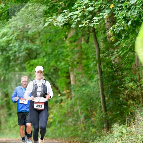 11.10.2026 - Bramfelder Halbmarathon 2026 Dr. Thomas Lammeyer http://msf.ph/oto/10826655 11.10.2026 10:57:56 Laufen 557, 493 meine-sportfotos.de