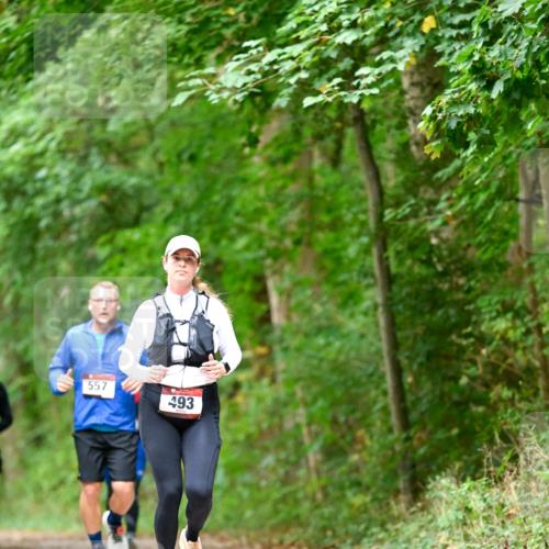 11.10.2026 - Bramfelder Halbmarathon 2026 Dr. Thomas Lammeyer http://msf.ph/oto/10826656 11.10.2026 10:57:57 Laufen 557, 493 meine-sportfotos.de