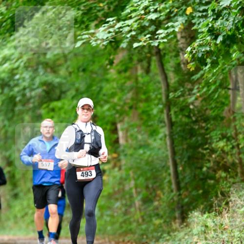 11.10.2026 - Bramfelder Halbmarathon 2026 Dr. Thomas Lammeyer http://msf.ph/oto/10826657 11.10.2026 10:57:57 Laufen 557, 493 meine-sportfotos.de