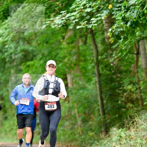 11.10.2026 - Bramfelder Halbmarathon 2026 Dr. Thomas Lammeyer http://msf.ph/oto/10826658 11.10.2026 10:57:57 Laufen 557, 493 meine-sportfotos.de