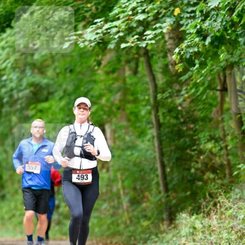 11.10.2026 - Bramfelder Halbmarathon 2026 Dr. Thomas Lammeyer http://msf.ph/oto/10826659 11.10.2026 10:57:58 Laufen 557, 493 meine-sportfotos.de