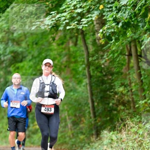 11.10.2026 - Bramfelder Halbmarathon 2026 Dr. Thomas Lammeyer http://msf.ph/oto/10826661 11.10.2026 10:57:58 Laufen 557, 493 meine-sportfotos.de