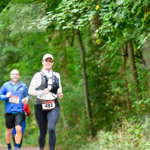 11.10.2026 - Bramfelder Halbmarathon 2026 Dr. Thomas Lammeyer http://msf.ph/oto/10826662 11.10.2026 10:57:58 Laufen 557, 493 meine-sportfotos.de
