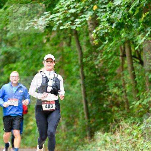 11.10.2026 - Bramfelder Halbmarathon 2026 Dr. Thomas Lammeyer http://msf.ph/oto/10826663 11.10.2026 10:57:58 Laufen 557, 493 meine-sportfotos.de