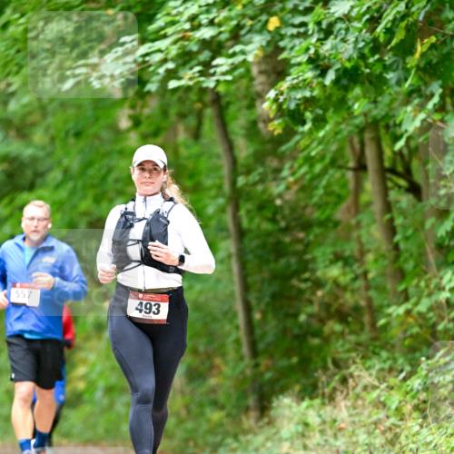11.10.2026 - Bramfelder Halbmarathon 2026 Dr. Thomas Lammeyer http://msf.ph/oto/10826665 11.10.2026 10:57:58 Laufen 557, 493 meine-sportfotos.de