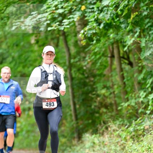 11.10.2026 - Bramfelder Halbmarathon 2026 Dr. Thomas Lammeyer http://msf.ph/oto/10826667 11.10.2026 10:57:59 Laufen 557, 493 meine-sportfotos.de