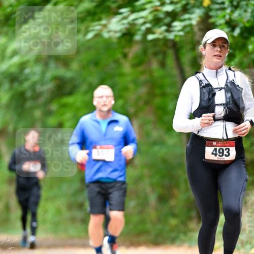 11.10.2026 - Bramfelder Halbmarathon 2026 Dr. Thomas Lammeyer http://msf.ph/oto/10826668 11.10.2026 10:58:00 Laufen 493 meine-sportfotos.de