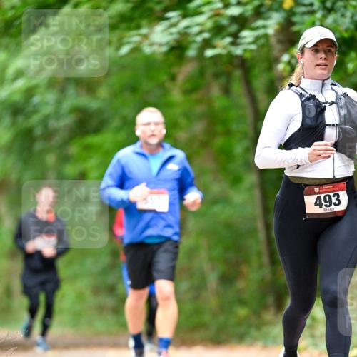11.10.2026 - Bramfelder Halbmarathon 2026 Dr. Thomas Lammeyer http://msf.ph/oto/10826669 11.10.2026 10:58:00 Laufen 35, 493 meine-sportfotos.de
