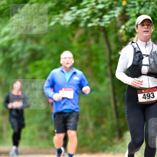 11.10.2026 - Bramfelder Halbmarathon 2026 Dr. Thomas Lammeyer http://msf.ph/oto/10826670 11.10.2026 10:58:00 Laufen 493 meine-sportfotos.de