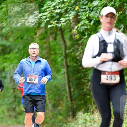 11.10.2026 - Bramfelder Halbmarathon 2026 Dr. Thomas Lammeyer http://msf.ph/oto/10826671 11.10.2026 10:58:01 Laufen 557, 493 meine-sportfotos.de
