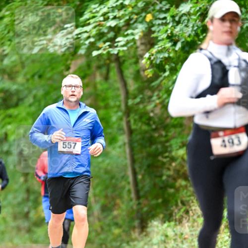 11.10.2026 - Bramfelder Halbmarathon 2026 Dr. Thomas Lammeyer http://msf.ph/oto/10826672 11.10.2026 10:58:01 Laufen 557, 254, 493 meine-sportfotos.de