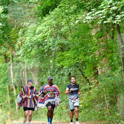 11.10.2026 - Bramfelder Halbmarathon 2026 Dr. Thomas Lammeyer http://msf.ph/oto/10826798 11.10.2026 10:59:09 Laufen 472, 520, 0, 3, 732 meine-sportfotos.de