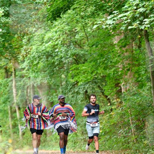 11.10.2026 - Bramfelder Halbmarathon 2026 Dr. Thomas Lammeyer http://msf.ph/oto/10826799 11.10.2026 10:59:09 Laufen 472, 520, 732 meine-sportfotos.de