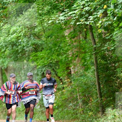 11.10.2026 - Bramfelder Halbmarathon 2026 Dr. Thomas Lammeyer http://msf.ph/oto/10826808 11.10.2026 10:59:10 Laufen 0, 3, 72, 520, 732 meine-sportfotos.de
