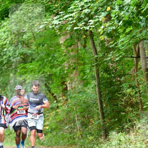 11.10.2026 - Bramfelder Halbmarathon 2026 Dr. Thomas Lammeyer http://msf.ph/oto/10826812 11.10.2026 10:59:11 Laufen 70, 520, 732 meine-sportfotos.de