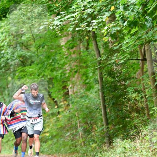 11.10.2026 - Bramfelder Halbmarathon 2026 Dr. Thomas Lammeyer http://msf.ph/oto/10826814 11.10.2026 10:59:11 Laufen 520, 70, 3, 732 meine-sportfotos.de