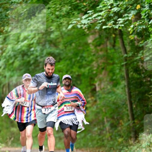 11.10.2026 - Bramfelder Halbmarathon 2026 Dr. Thomas Lammeyer http://msf.ph/oto/10826829 11.10.2026 10:59:13 Laufen 472, 520, 732 meine-sportfotos.de