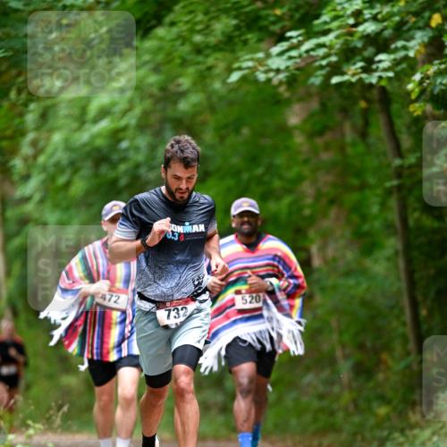 11.10.2026 - Bramfelder Halbmarathon 2026 Dr. Thomas Lammeyer http://msf.ph/oto/10826834 11.10.2026 10:59:14 Laufen 70, 3, 472, 520, 732 meine-sportfotos.de