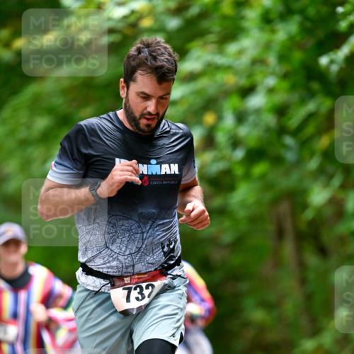 11.10.2026 - Bramfelder Halbmarathon 2026 Dr. Thomas Lammeyer http://msf.ph/oto/10826849 11.10.2026 10:59:16 Laufen 732 meine-sportfotos.de