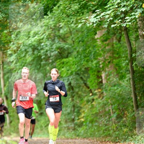 11.10.2026 - Bramfelder Halbmarathon 2026 Dr. Thomas Lammeyer http://msf.ph/oto/10826861 11.10.2026 10:59:21 Laufen 272 meine-sportfotos.de
