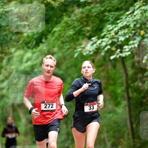 11.10.2026 - Bramfelder Halbmarathon 2026 Dr. Thomas Lammeyer http://msf.ph/oto/10826880 11.10.2026 10:59:23 Laufen 272, 33 meine-sportfotos.de