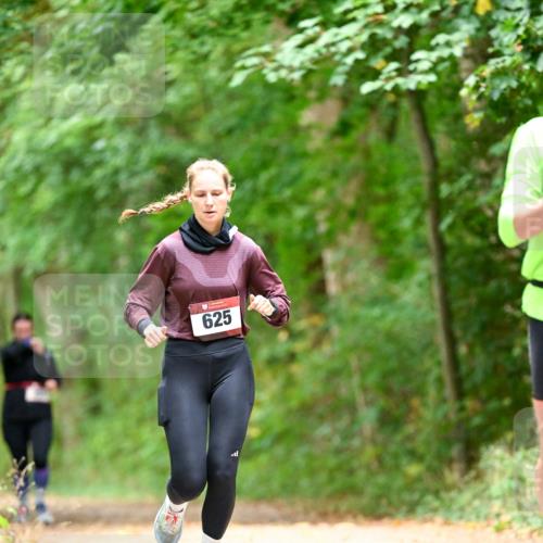 11.10.2026 - Bramfelder Halbmarathon 2026 Dr. Thomas Lammeyer http://msf.ph/oto/10826911 11.10.2026 10:59:31 Laufen 625 meine-sportfotos.de