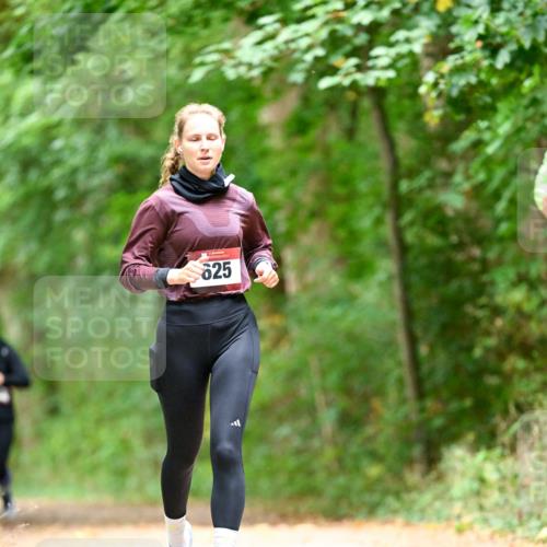 11.10.2026 - Bramfelder Halbmarathon 2026 Dr. Thomas Lammeyer http://msf.ph/oto/10826915 11.10.2026 10:59:31 Laufen 625 meine-sportfotos.de