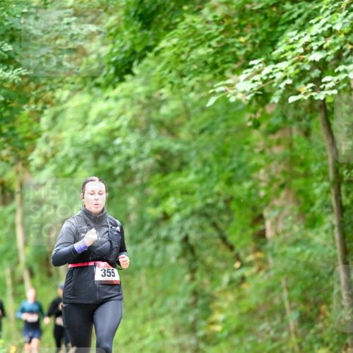 11.10.2026 - Bramfelder Halbmarathon 2026 Dr. Thomas Lammeyer http://msf.ph/oto/10826923 11.10.2026 10:59:37 Laufen 355 meine-sportfotos.de
