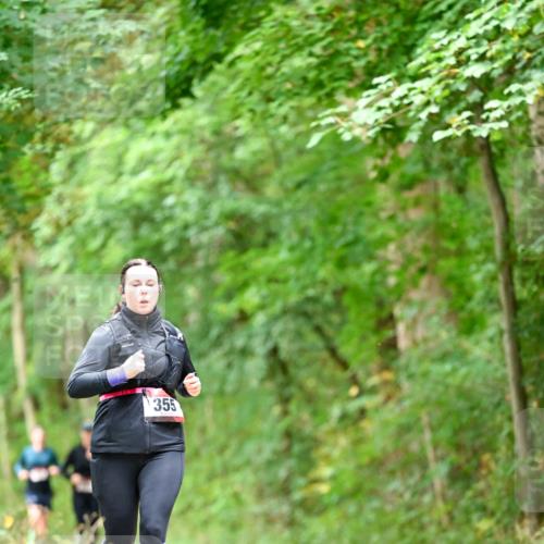 11.10.2026 - Bramfelder Halbmarathon 2026 Dr. Thomas Lammeyer http://msf.ph/oto/10826924 11.10.2026 10:59:37 Laufen 355 meine-sportfotos.de