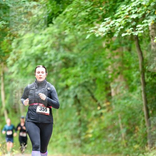 11.10.2026 - Bramfelder Halbmarathon 2026 Dr. Thomas Lammeyer http://msf.ph/oto/10826926 11.10.2026 10:59:37 Laufen 355 meine-sportfotos.de