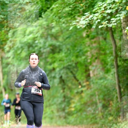 11.10.2026 - Bramfelder Halbmarathon 2026 Dr. Thomas Lammeyer http://msf.ph/oto/10826927 11.10.2026 10:59:37 Laufen 355 meine-sportfotos.de