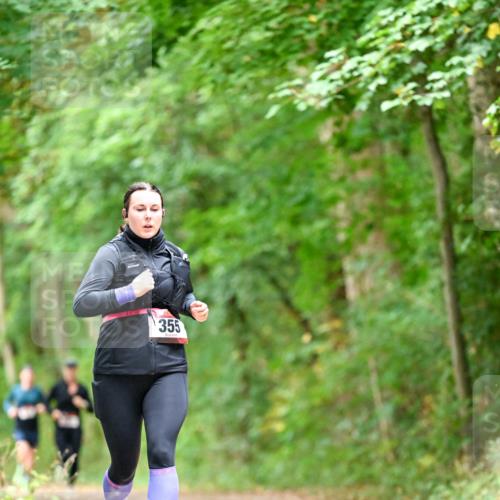 11.10.2026 - Bramfelder Halbmarathon 2026 Dr. Thomas Lammeyer http://msf.ph/oto/10826929 11.10.2026 10:59:37 Laufen 355 meine-sportfotos.de