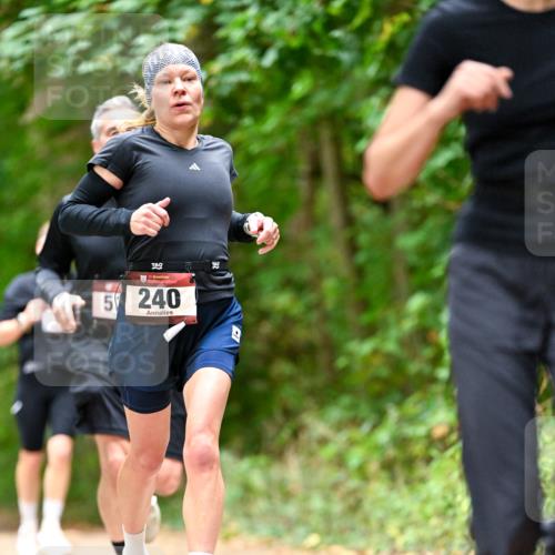 11.10.2026 - Bramfelder Halbmarathon 2026 Dr. Thomas Lammeyer http://msf.ph/oto/10827081 11.10.2026 11:00:31 Laufen 35, 5, 240 meine-sportfotos.de
