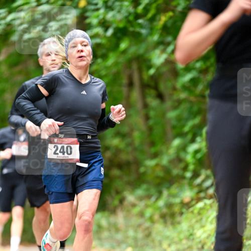 11.10.2026 - Bramfelder Halbmarathon 2026 Dr. Thomas Lammeyer http://msf.ph/oto/10827082 11.10.2026 11:00:31 Laufen 25, 240 meine-sportfotos.de