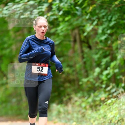 11.10.2026 - Bramfelder Halbmarathon 2026 Dr. Thomas Lammeyer http://msf.ph/oto/10827147 11.10.2026 11:00:57 Laufen 52 meine-sportfotos.de