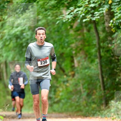 11.10.2026 - Bramfelder Halbmarathon 2026 Dr. Thomas Lammeyer http://msf.ph/oto/10827357 11.10.2026 11:01:51 Laufen 230 meine-sportfotos.de